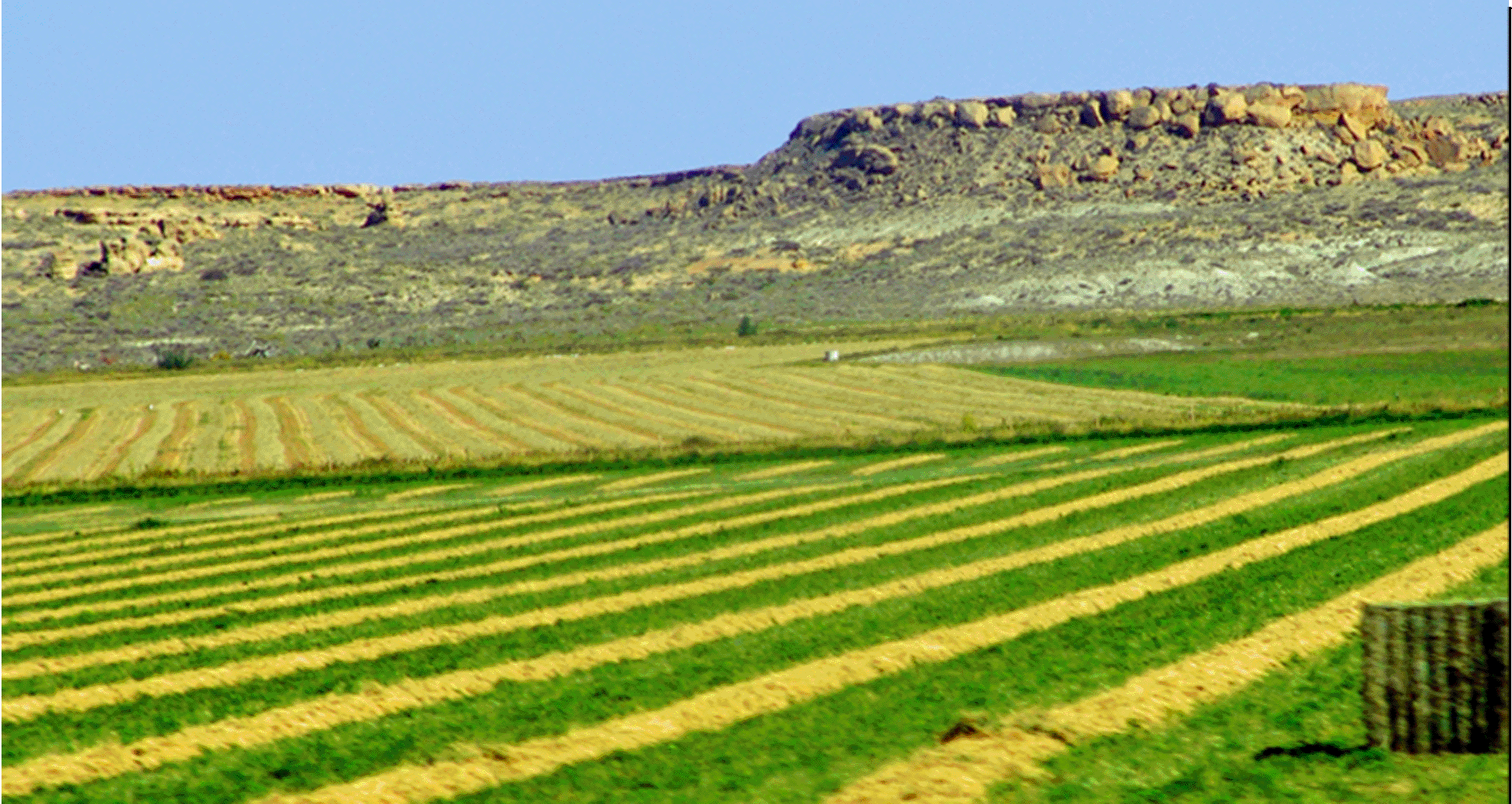 Big Horn Basin Farms